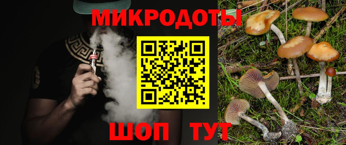 Псилоцибиновые грибы Cubensis  Вход с VPN  Псилоцибиновые грибы мицелий  Евпатория 