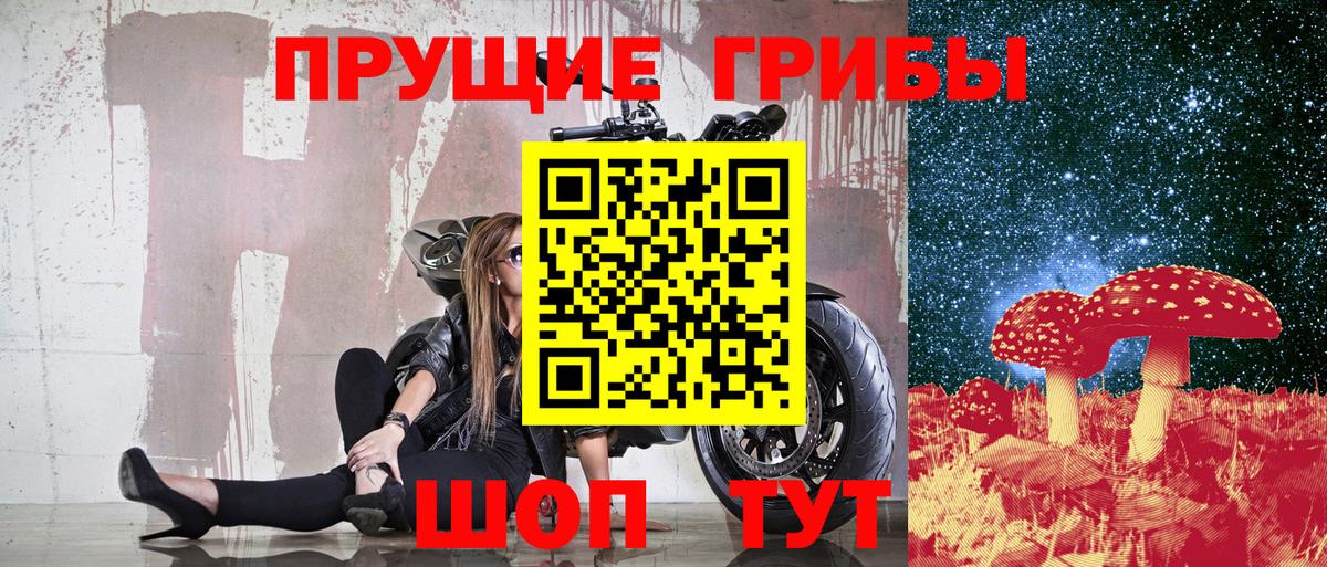 Галлюциногенные грибы Psilocybine cubensis Евпатория